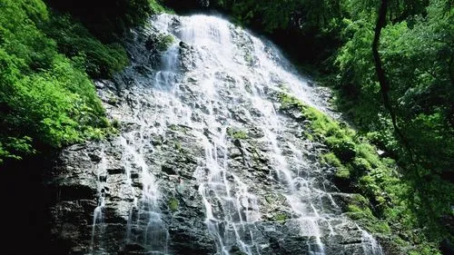 数字化高效环保
